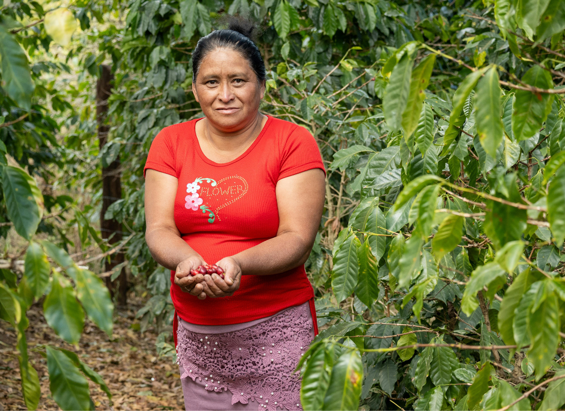 Beyond the Cup: How Wolff Supports Coffee Communities Worldwide