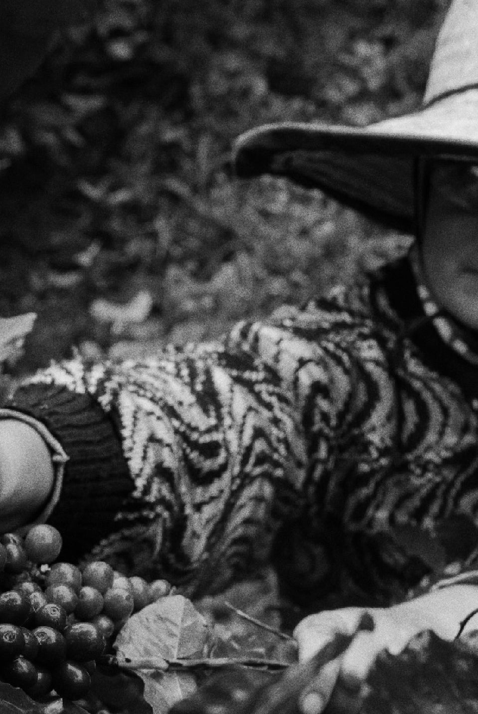 Fair Trade Coffee: Cherry to Cup