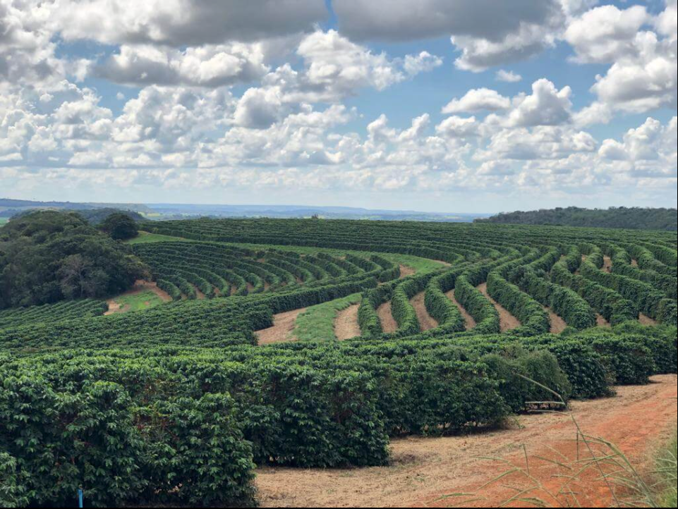 Guima Estate, Brazil