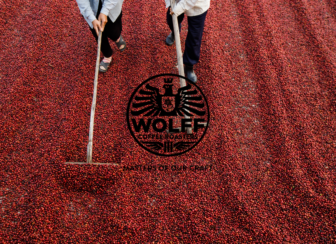 The Coffee Brands Who Will Win the Next Decade Share Three Traits