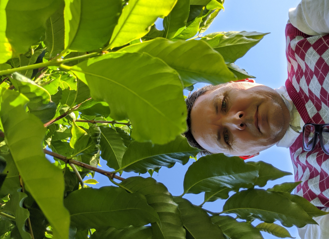 Australian Coffee From Proof to Permanence