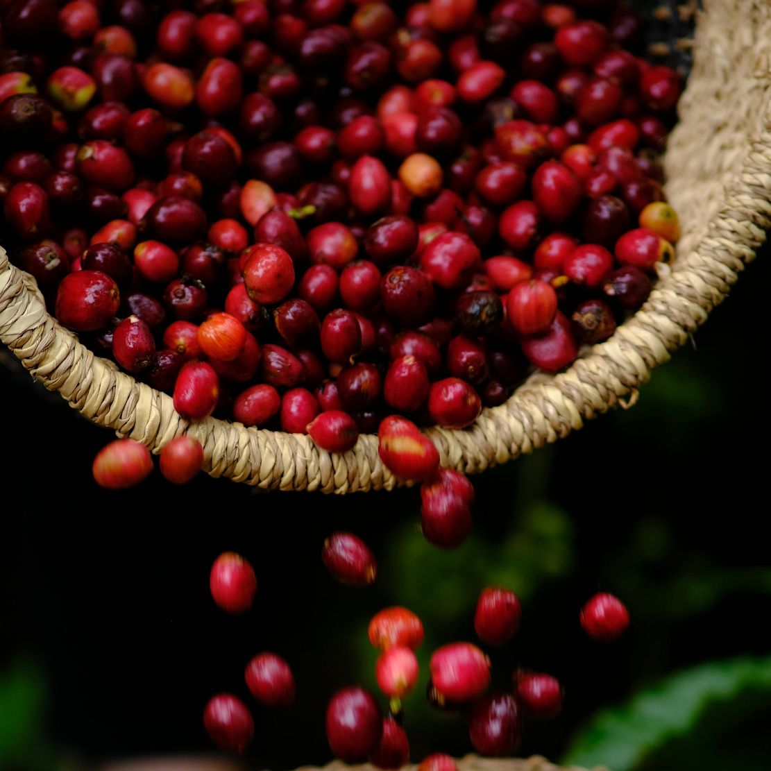 Rwanda Shyira Natural Espresso Single Origin