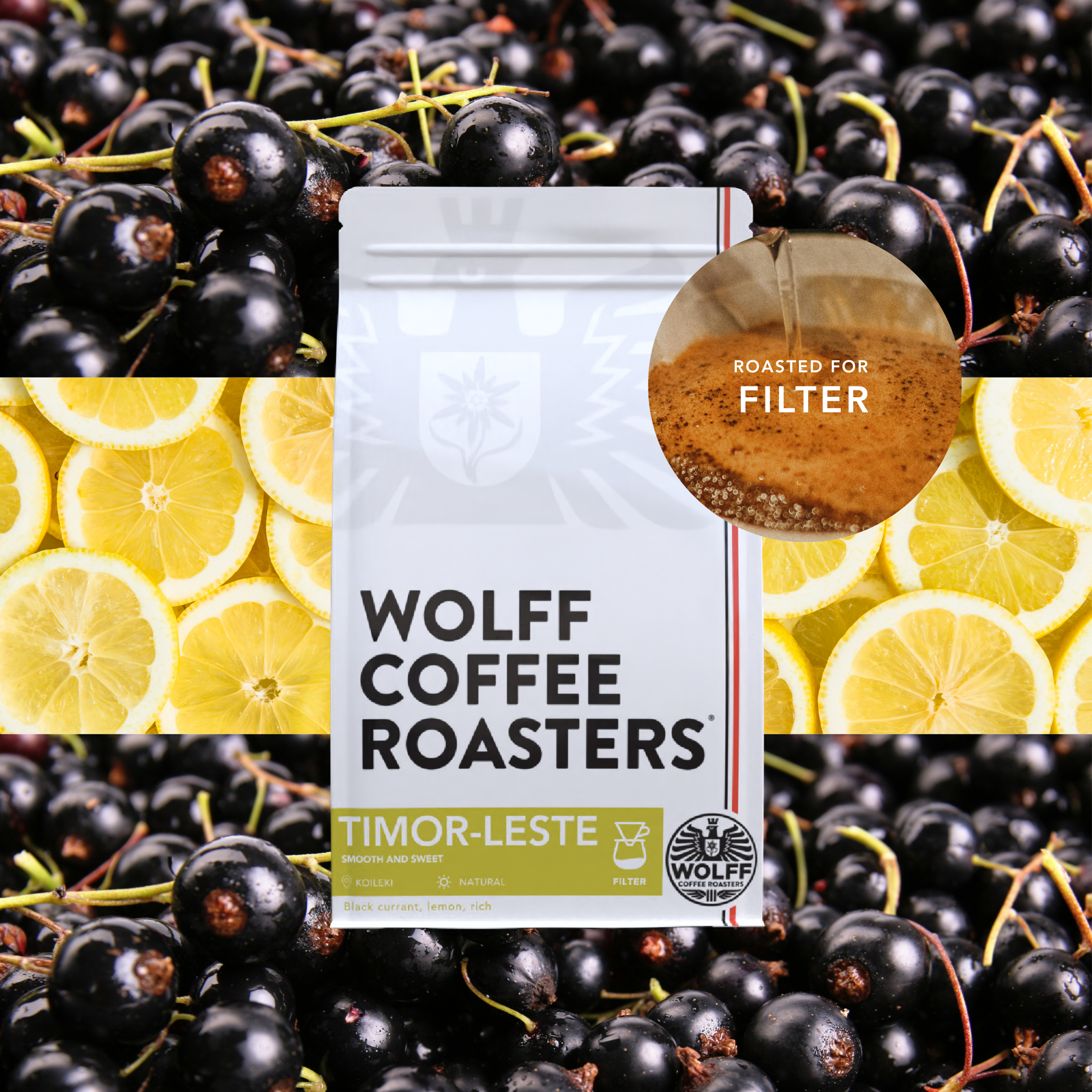 Timor-Leste Koileki Filter Single Origin