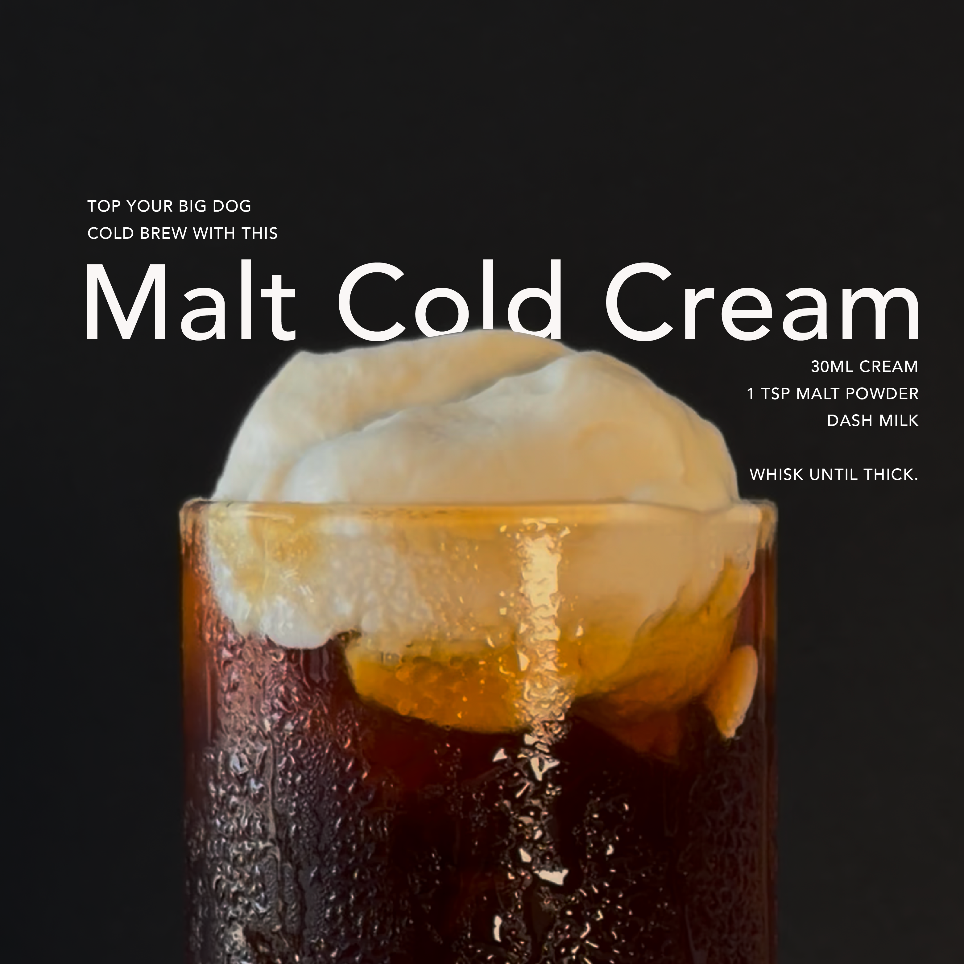 Big Dog Cold Brew Concentrate 1.5L