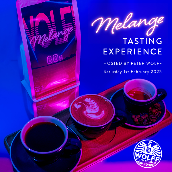 Coffee Tasting Experience