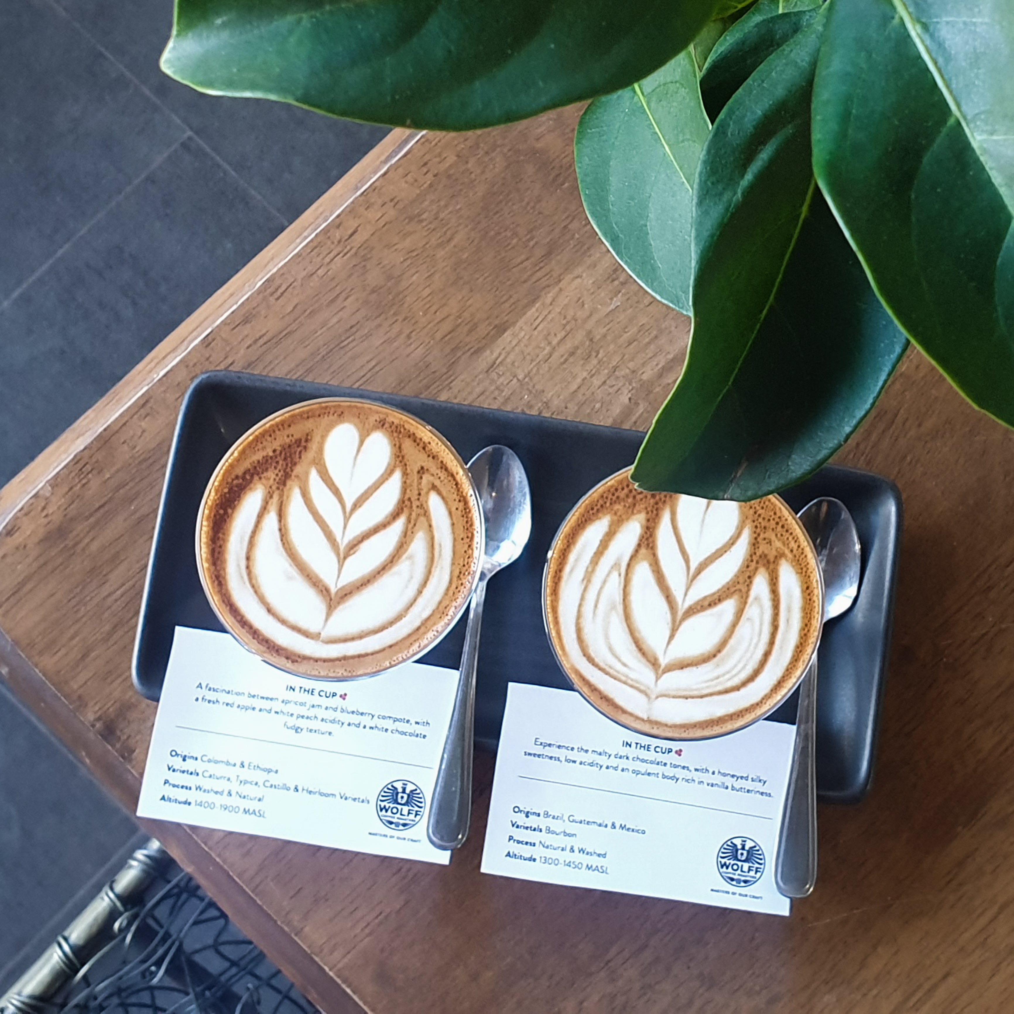 Piccolo Flight Haus Blends - Wolff Coffee Roasters